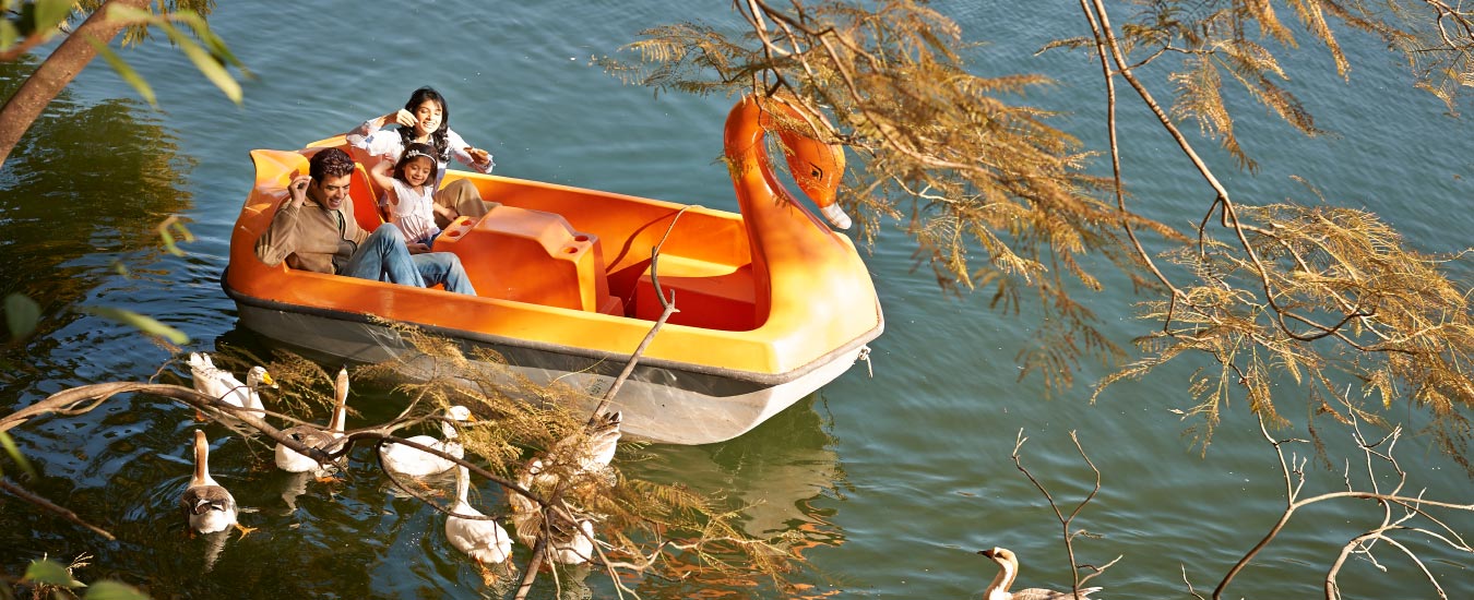 Paddle Boating on the Serene Backwaters